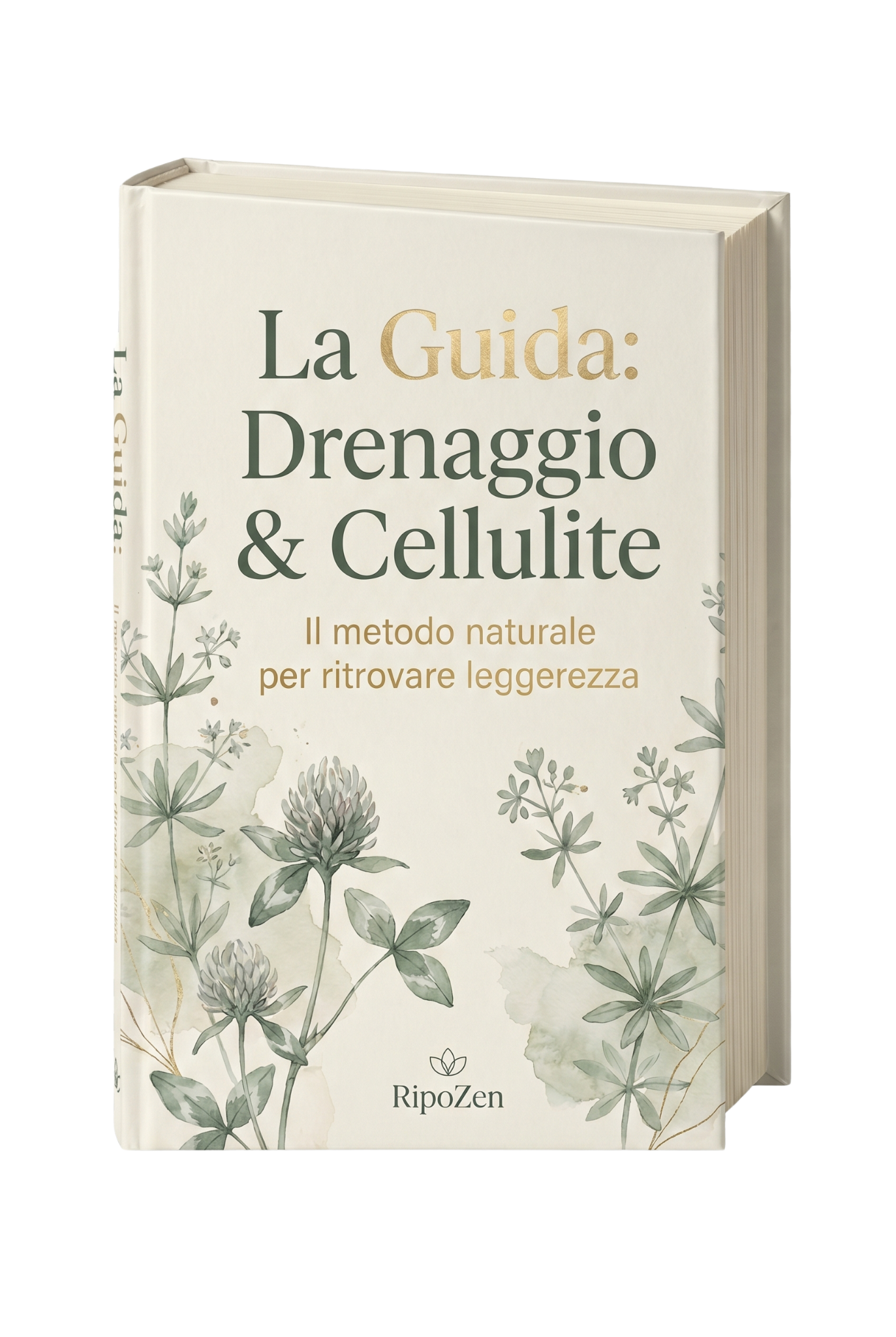 La Guida : Drenaggio & Cellulite