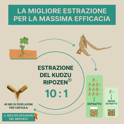 Kudzu RipoZen 40 mg di isoflavoni - 100% naturale