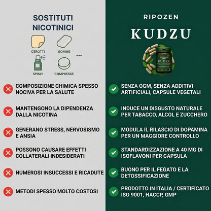 Kudzu RipoZen 40 mg di isoflavoni - 100% naturale